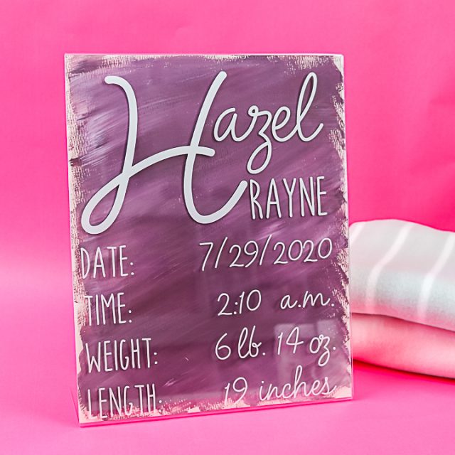 Painted Acrylic Sign from the Dollar Store Angie Holden The Country