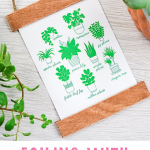Pinterest Hidden Image