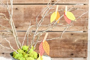 adding fall leaves with clothespins