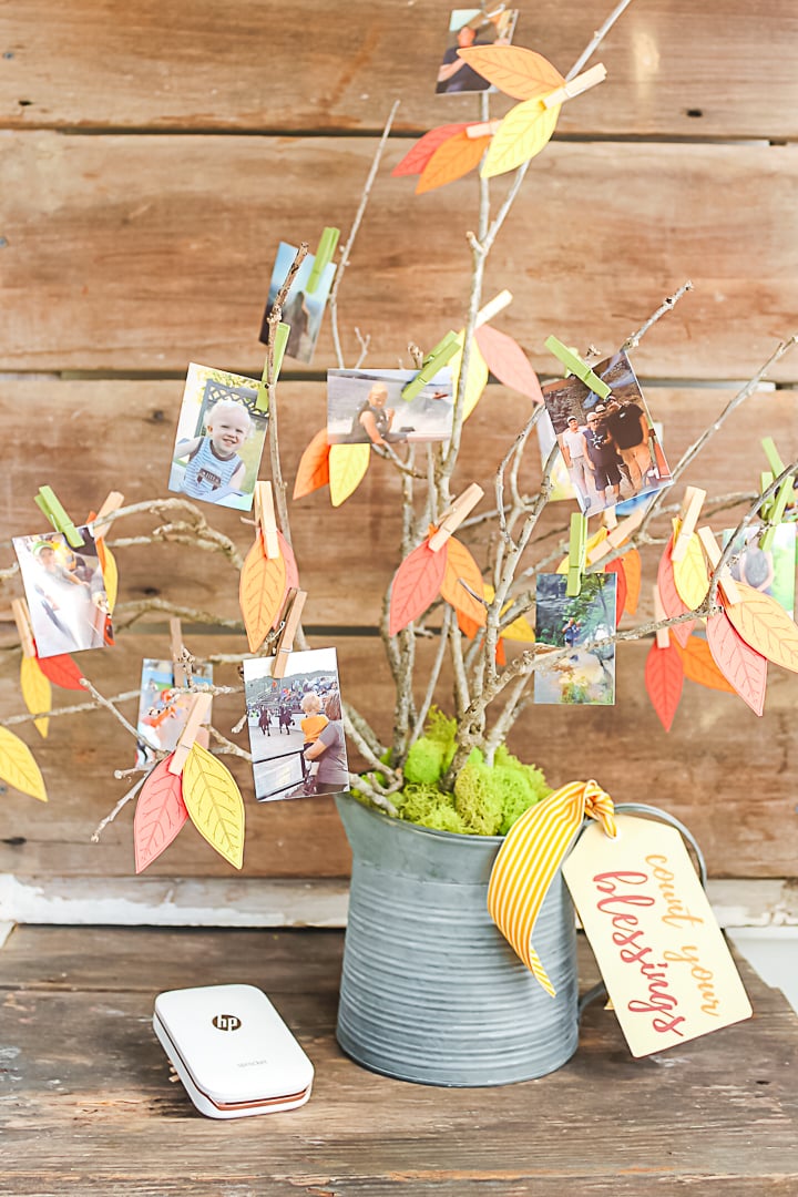 diy thankful tree