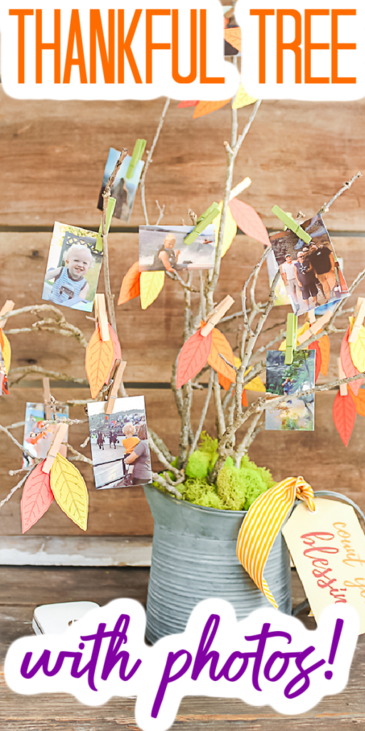 Make this DIY thankful tree for your Thanksgiving and fall home decor. Add pictures to show what you are thankful for this year! #thankfultree #thanksgiving #fall #homedecor