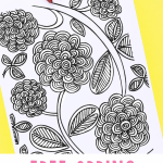 Pinterest Hidden Image