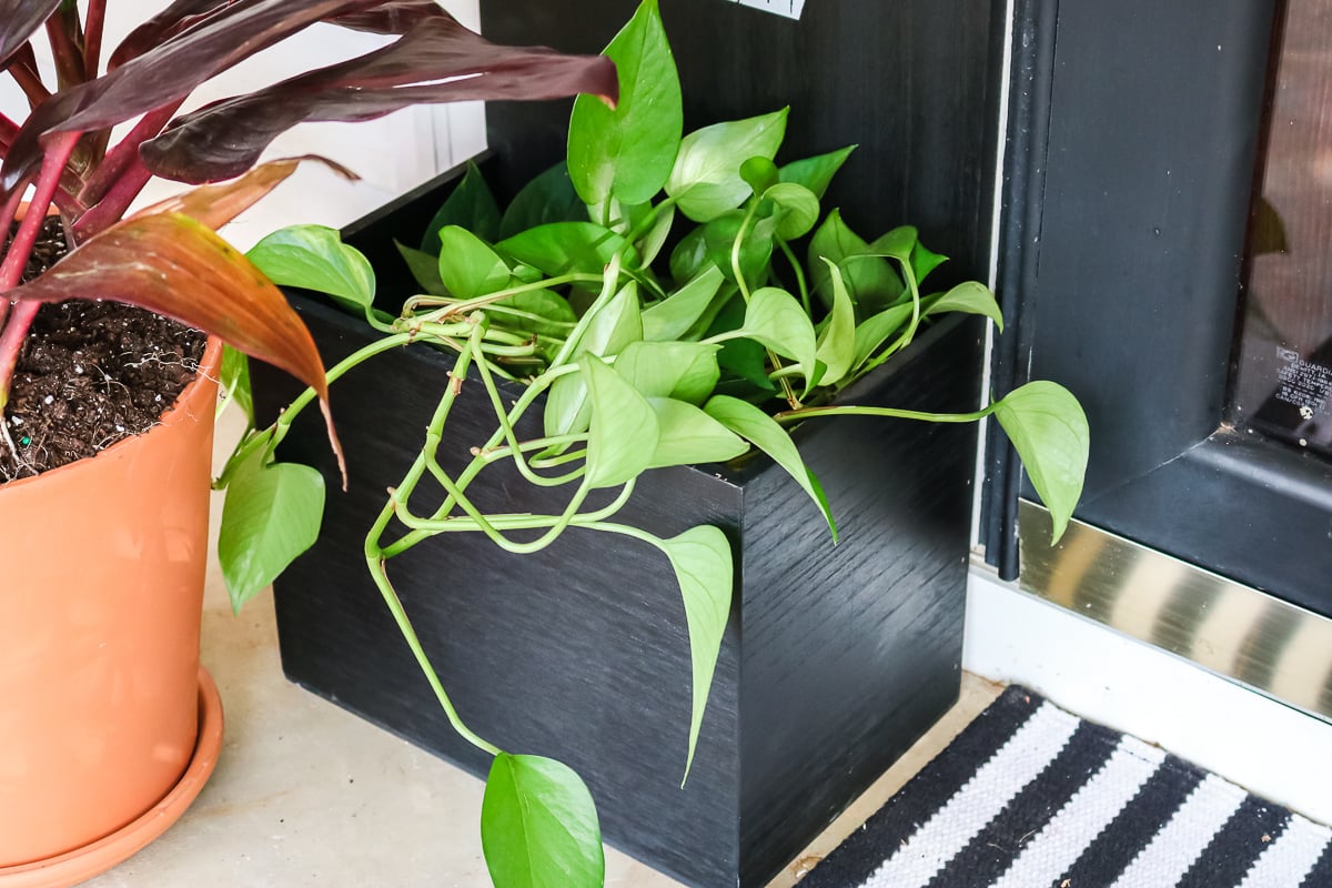 planter box on a sign