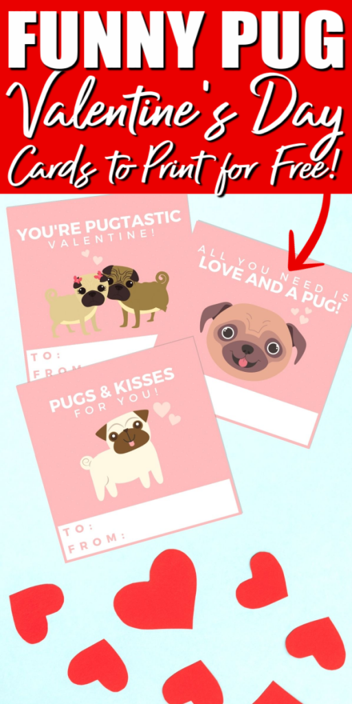 funny pug valentines day cards