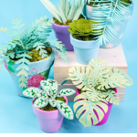 Pinterest Hidden Image