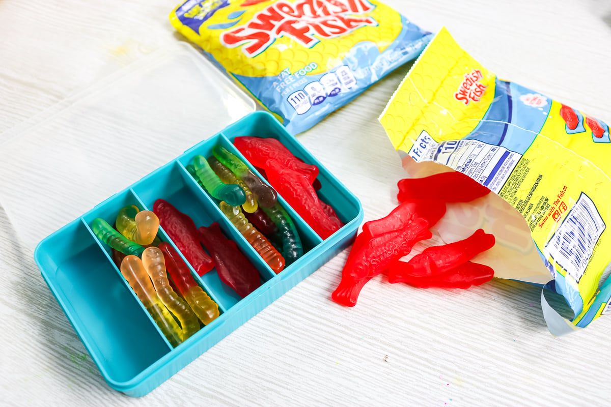 adding fish candy to divided boxes