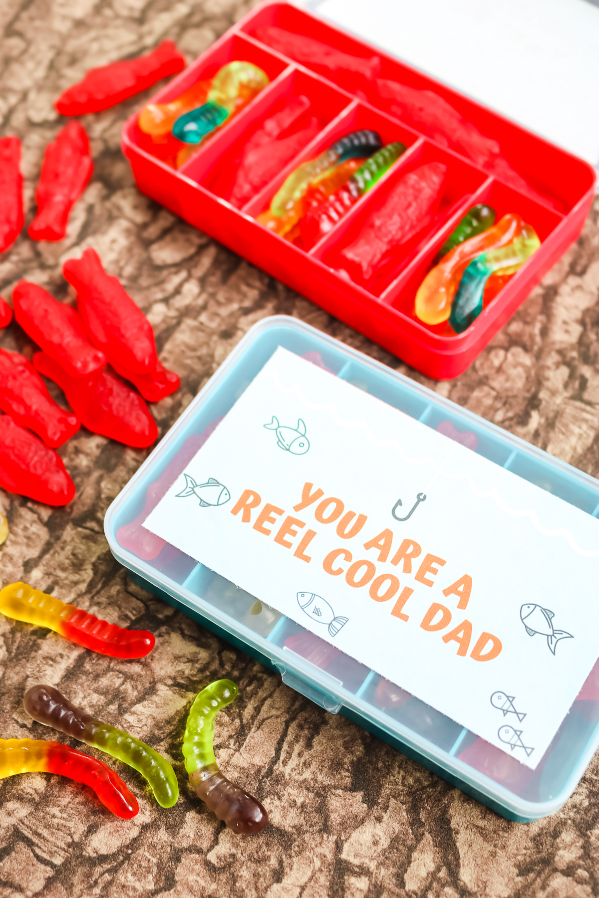 Father's Day Fishing Gifts You Can Make in Minutes - Angie Holden