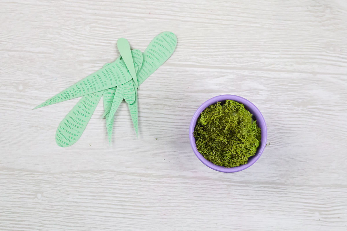 paper plant leaves and a pot filled with moss