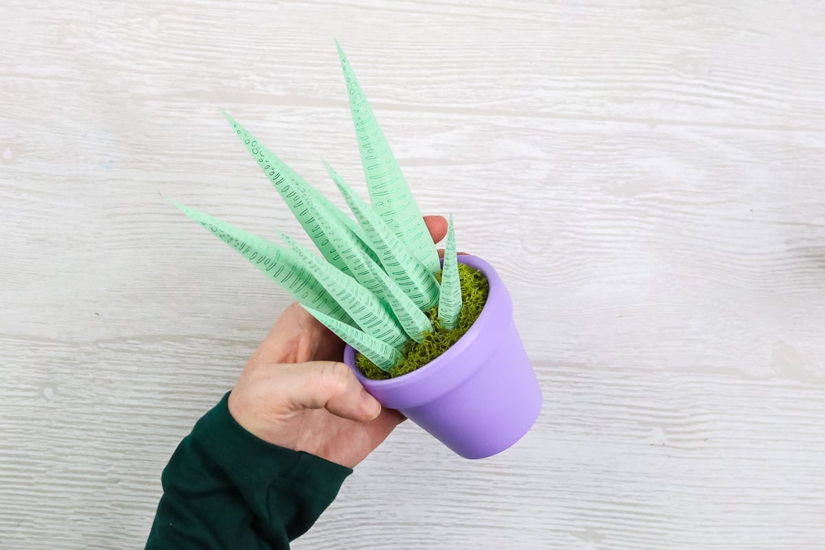 aloe plant made from paper