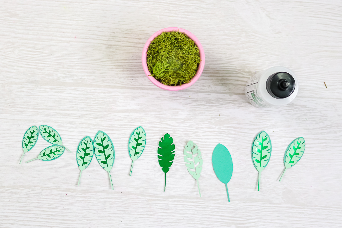 assembling leaves of paper plant