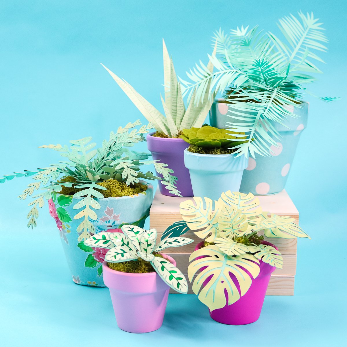 comment faire des plantes avec un cricut