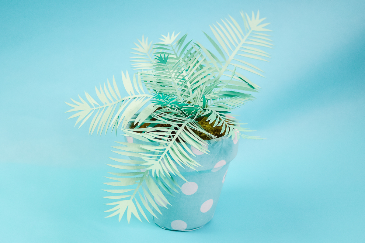 how to make a palm plant