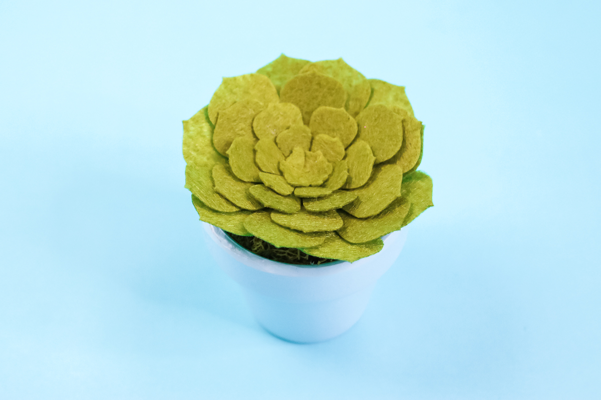 how to make a felt succulent