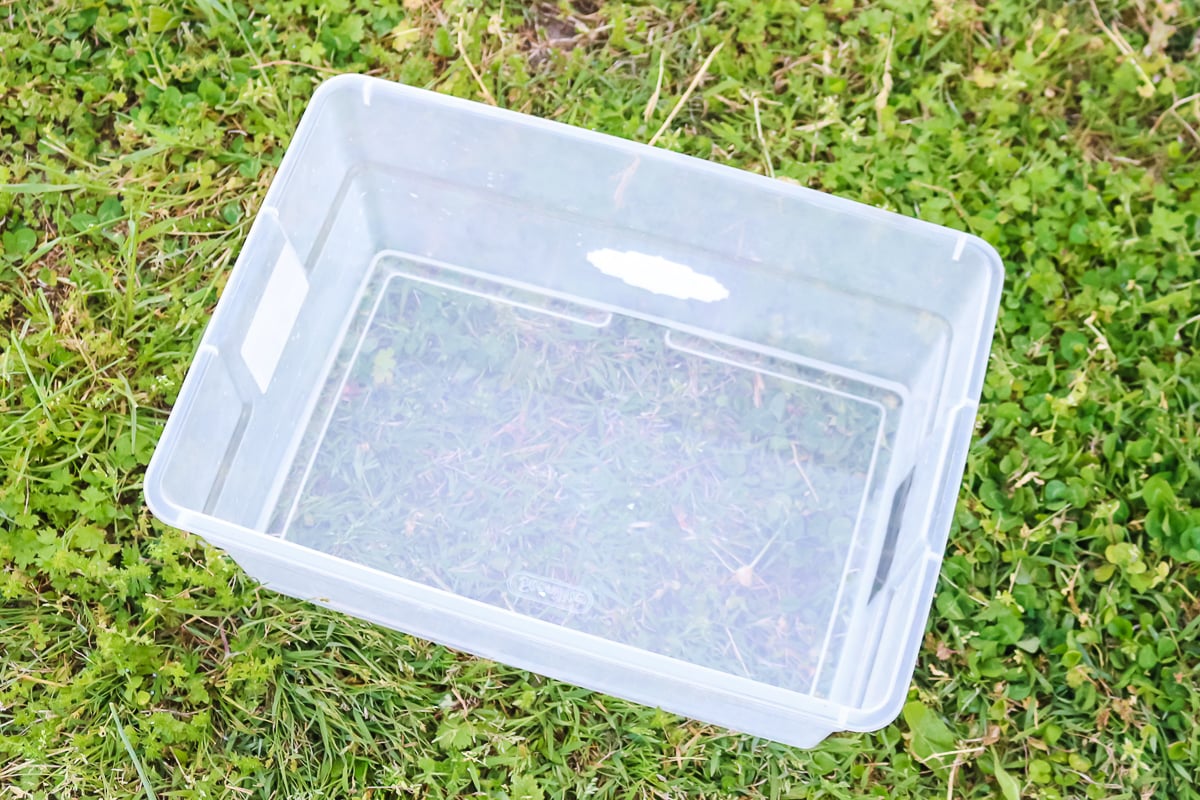 hydrogen peroxide and water mixture in a clear tub