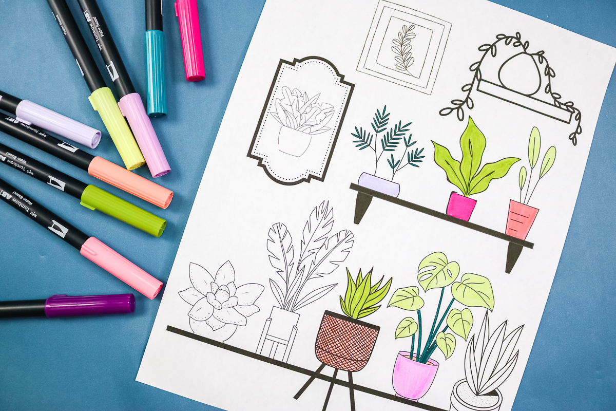 Coloriage adulte avec des plantes d & # 39; intérieur