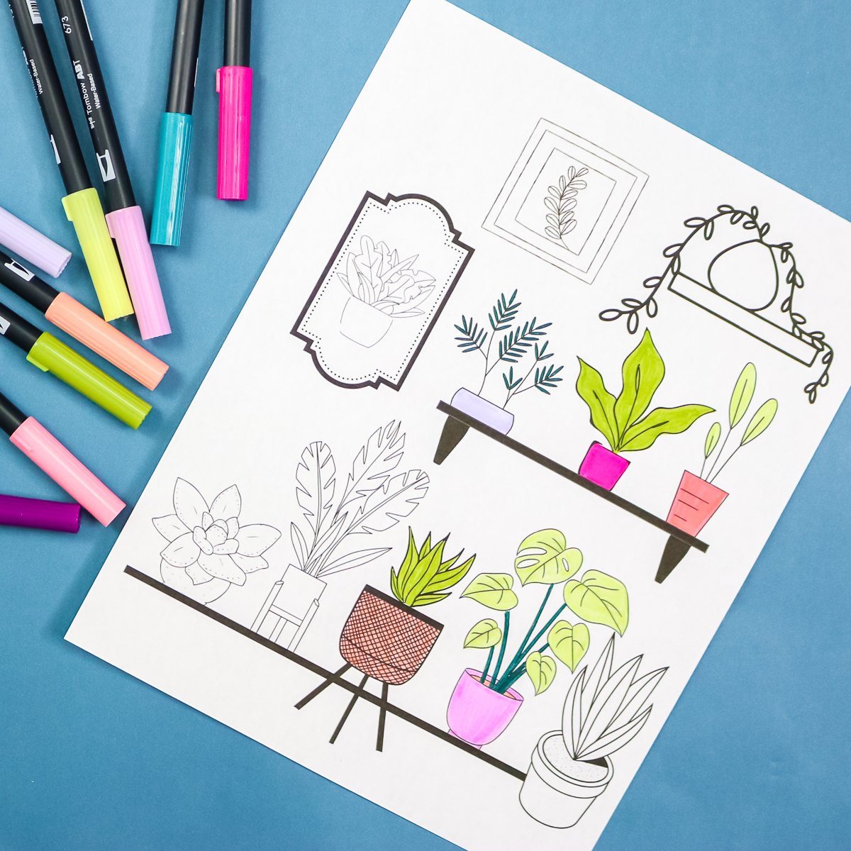 plant coloring page