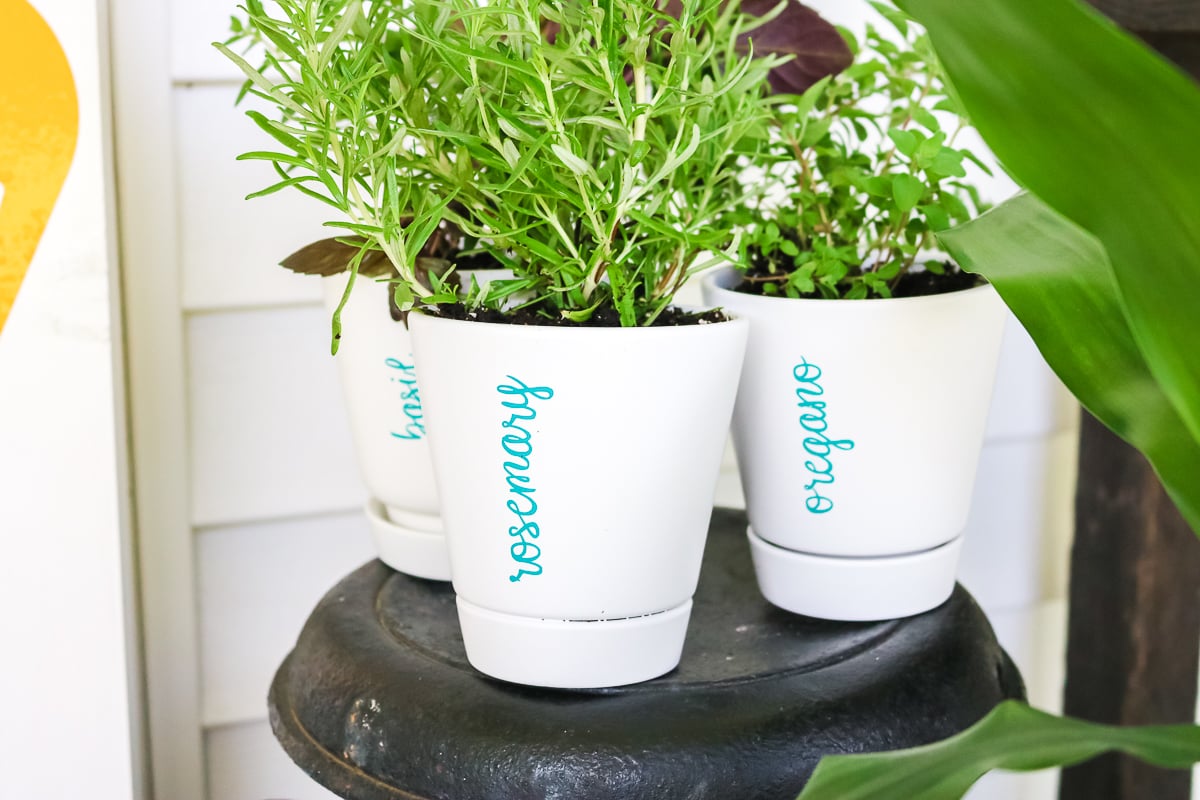 planters with vinyl markers