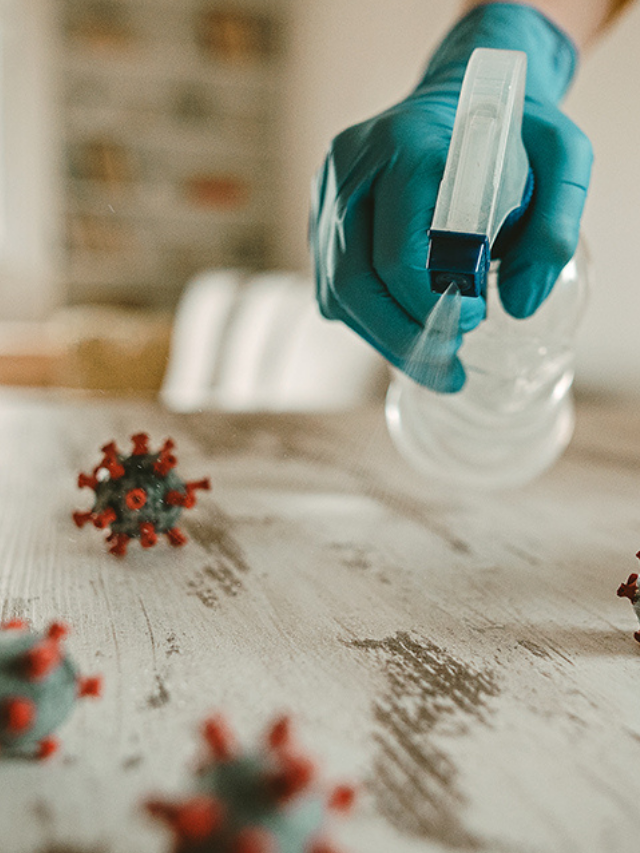 How to Clean House After the Flu Story Angie Holden The Country Chic