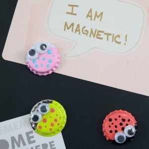 bottle cap bug magnets