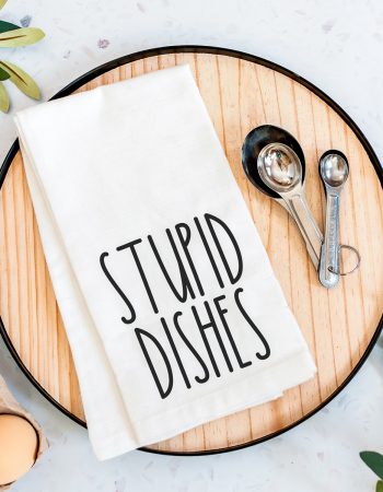 stupid dishes towel for the kitchen