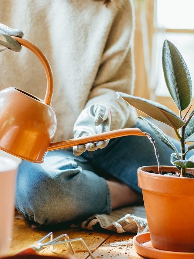 Types Of Planters How To Choose The Right One Story Angie Holden The 