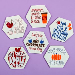 fall and winter drink themed coasters