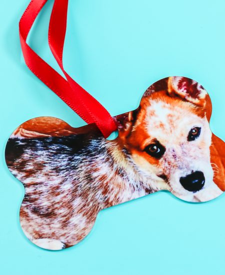 dog bone photo ornament