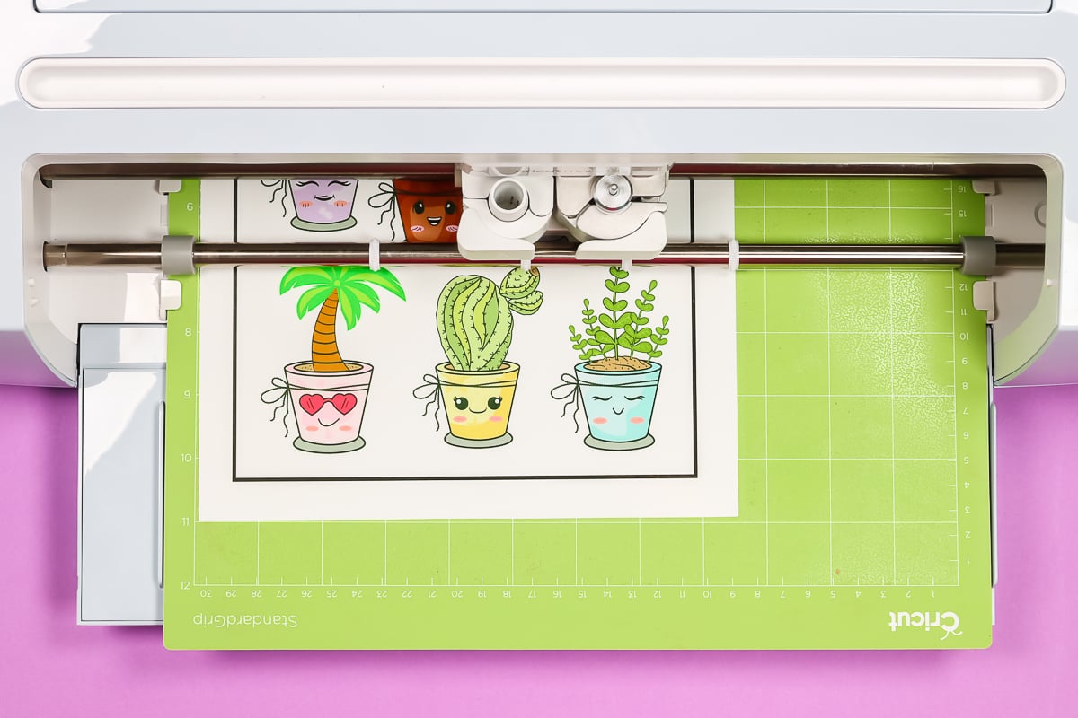 cactus stickers in a cricut machine