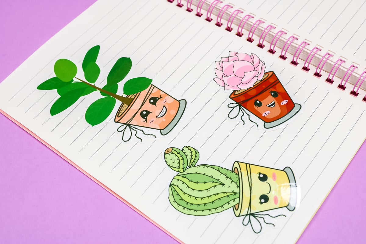 cactus stickers on notebook paper