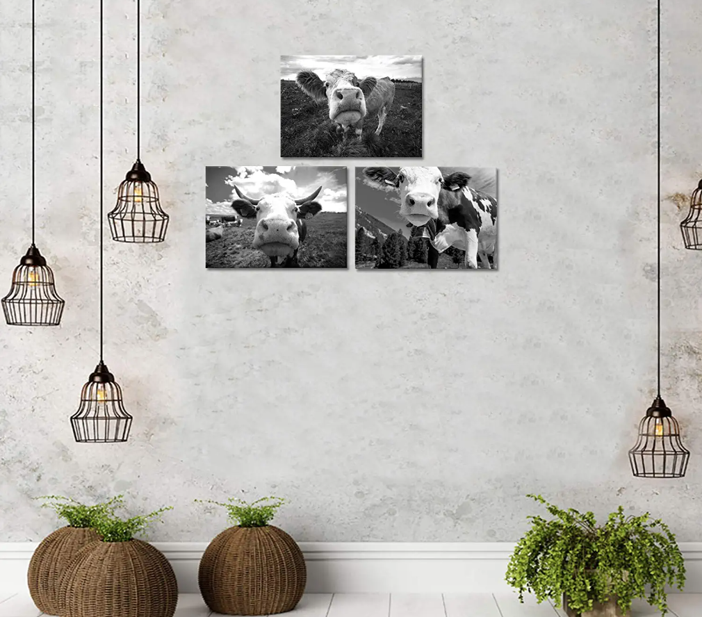 black and white cow canvas gallery