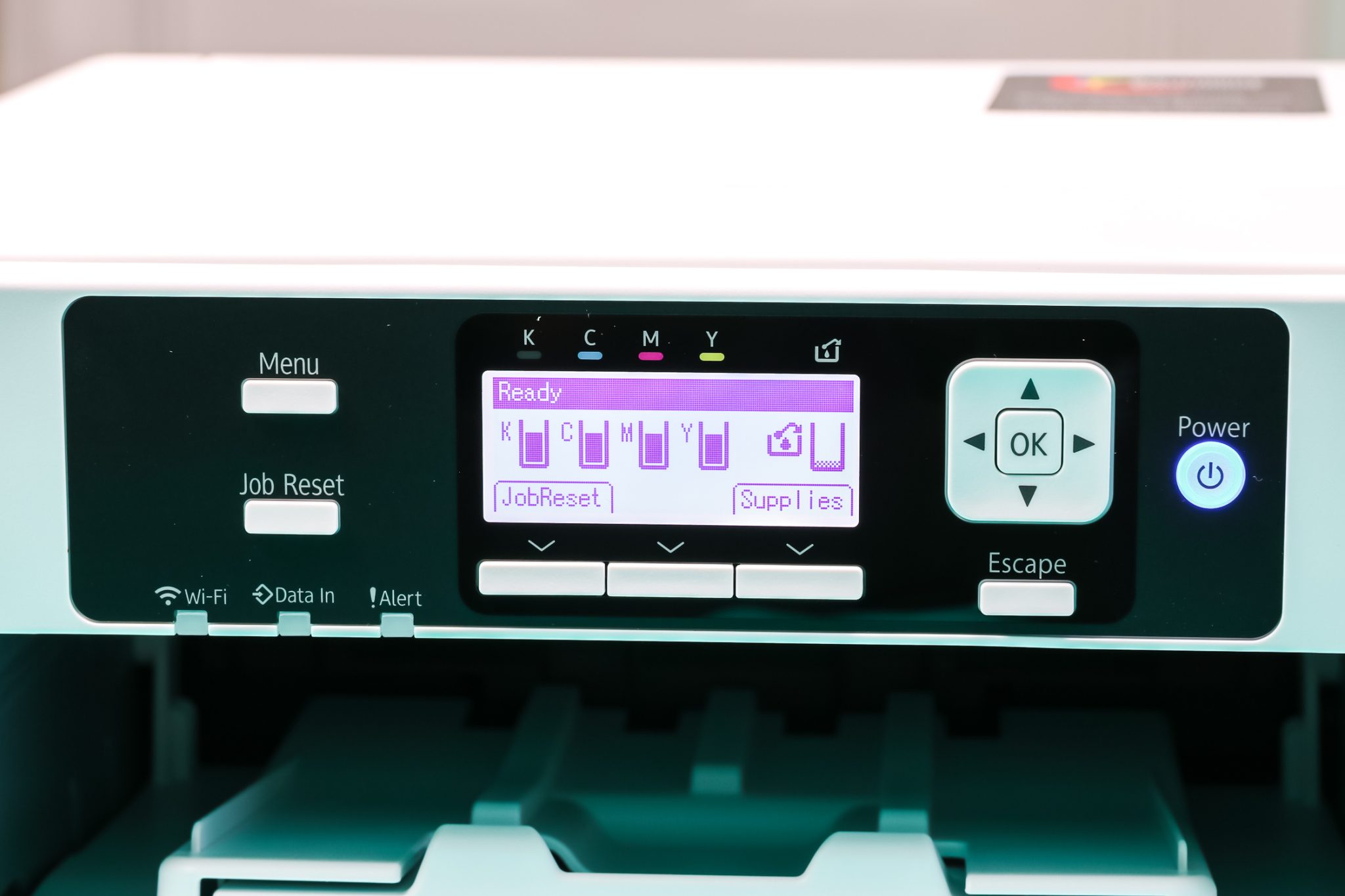 Ink levels in sublimation printer.