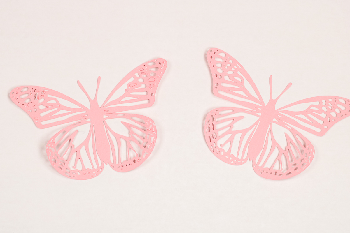 Close up of intricate cut butterflies with torn cuts.