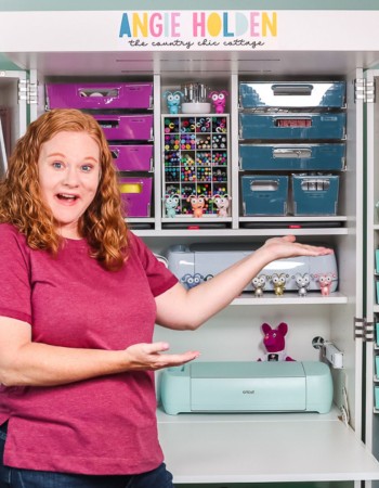 angie holden in front of create room dreambox 2