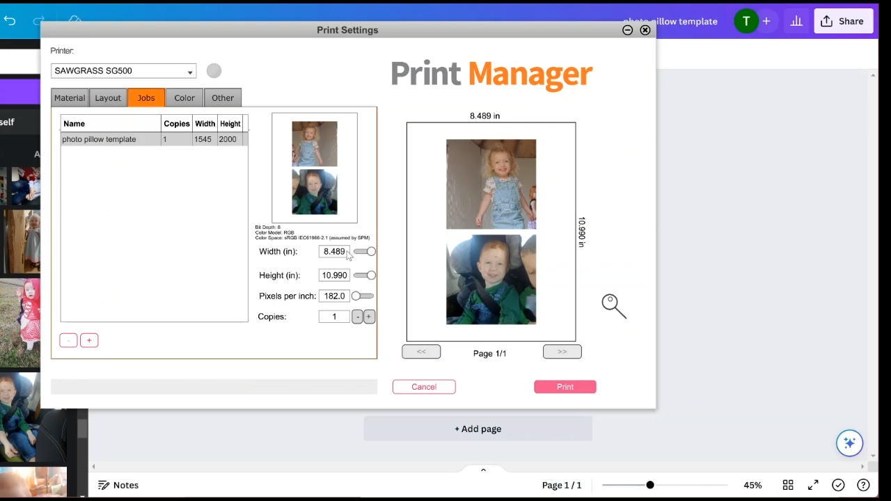 sawgrass print manager settings