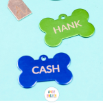 Pinterest Hidden Image