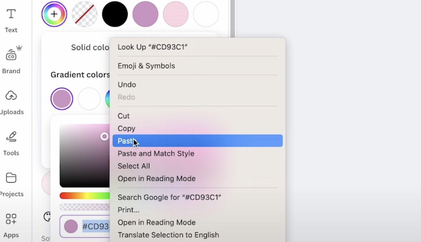 Copy and paste the color code for the gradient sections.