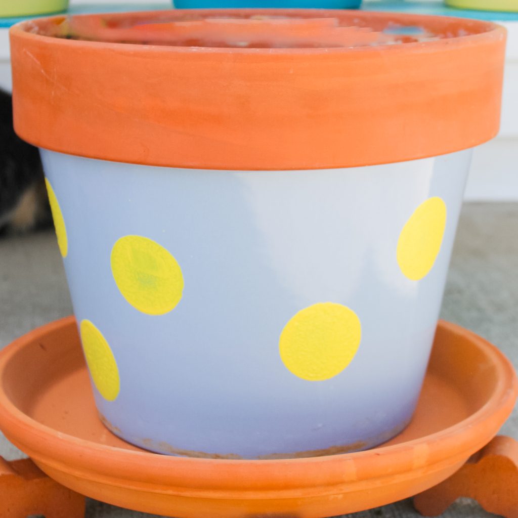 dotted planters