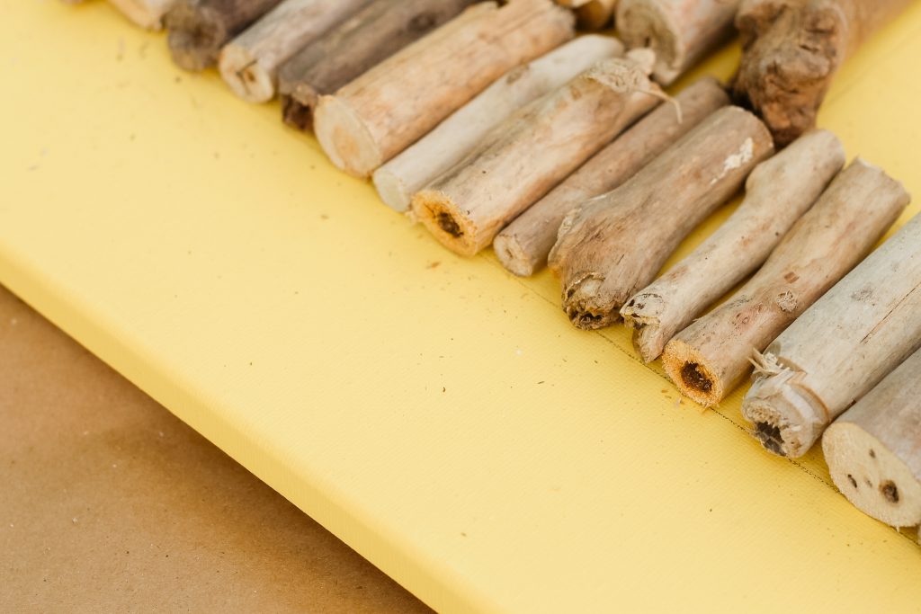 cut driftwood