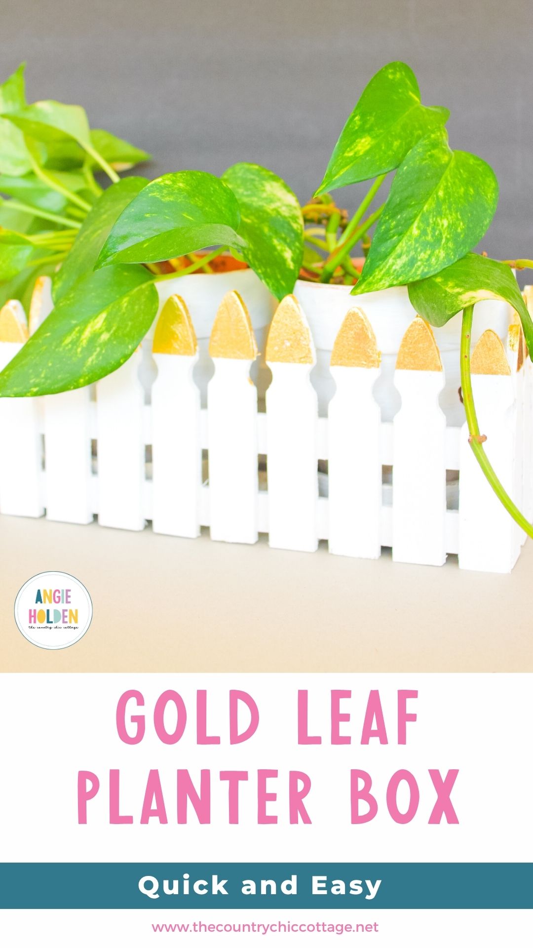 Pinterest Hidden Image