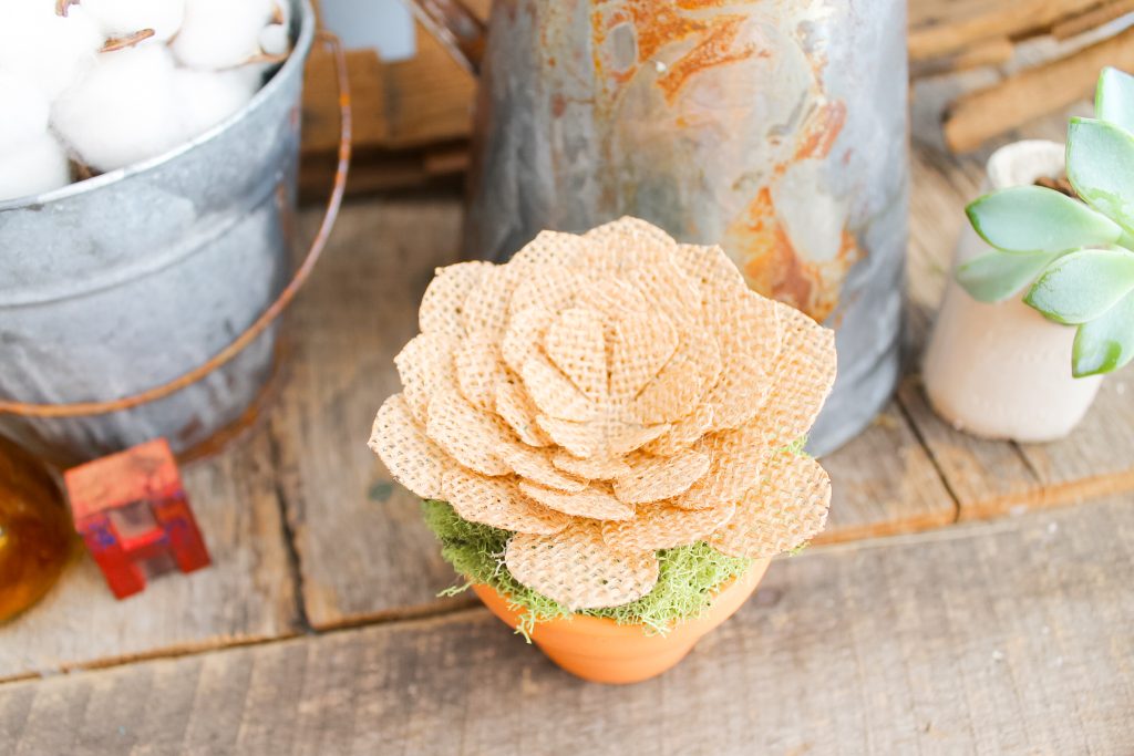 finished burlap succulent cut with a Cricut