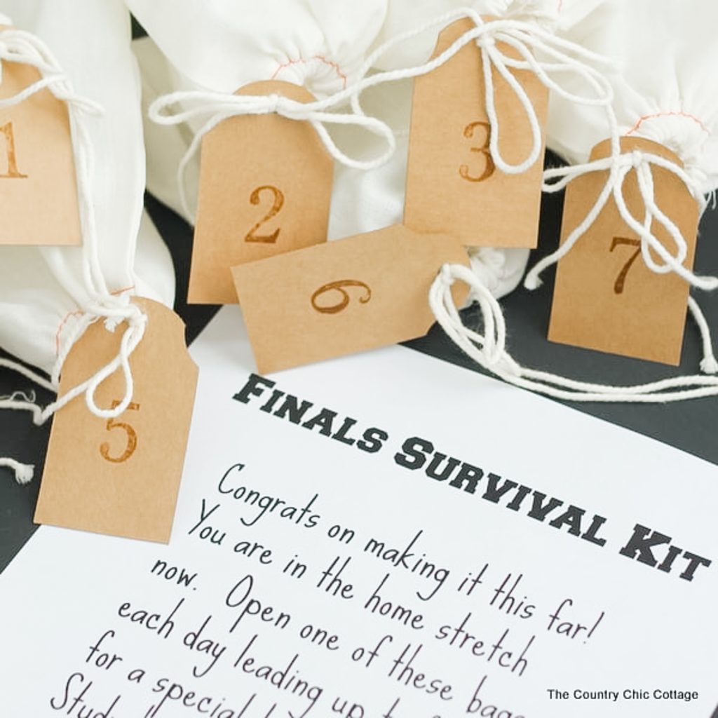 gifts bags for finals survival kit