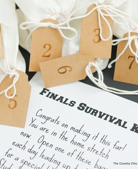 gifts bags for finals survival kit