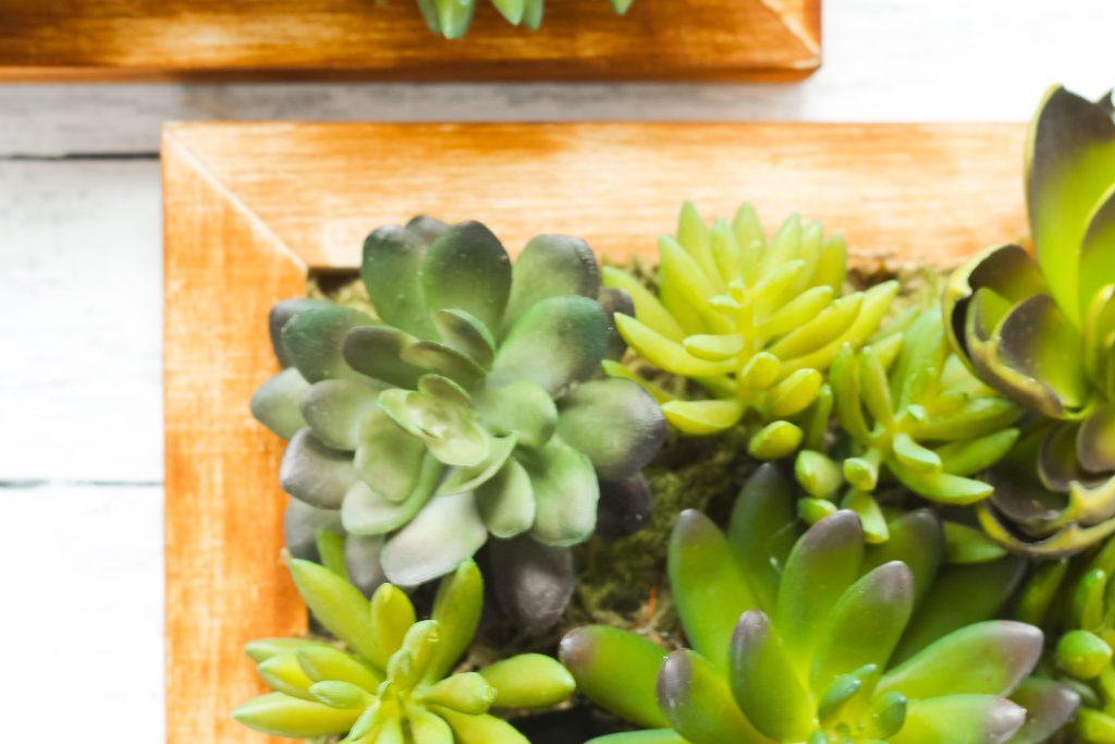 adding faux succulents to a framed wood panel