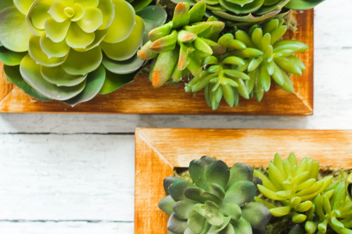 Faux Succulent Wall Art - Succulent Hanging Garden