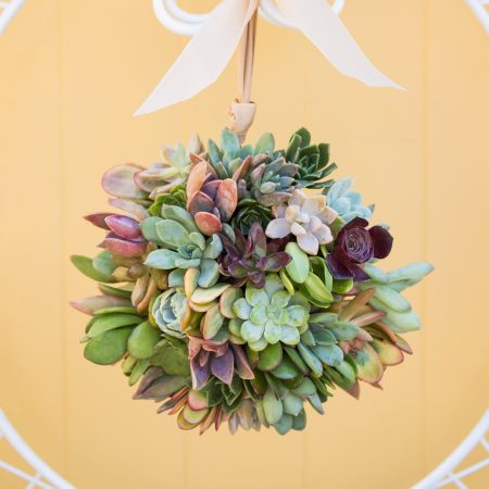 How to Make a Succulent Ball Topiary by Succulents and Sunshine