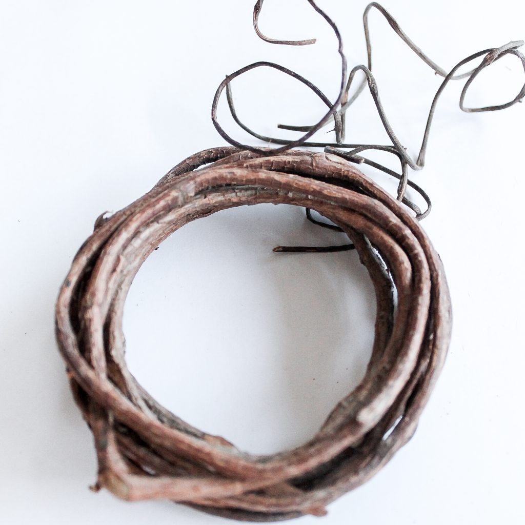 grapevine on white surface