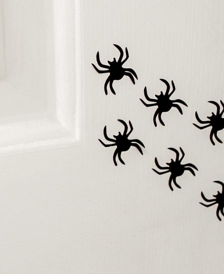 Vinyl spiders on a white door