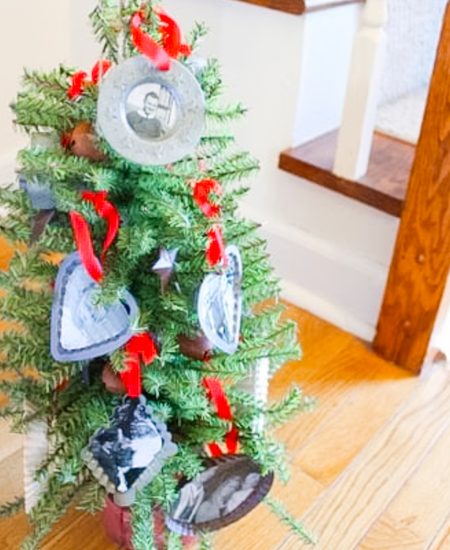 Mini tree decorated with family photo ornaments