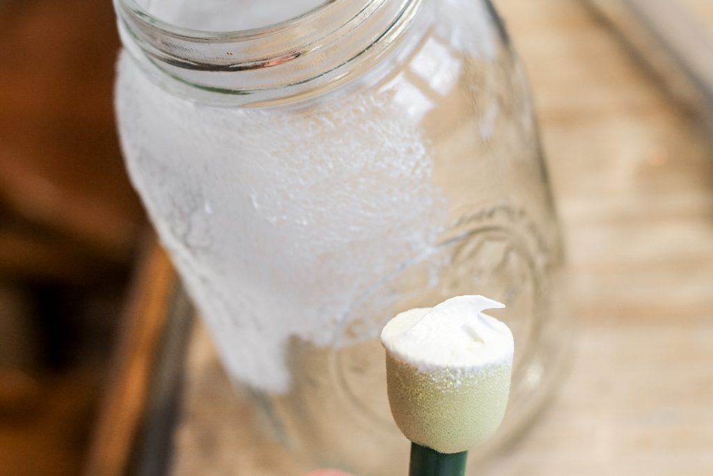 paint on a pouncer brush