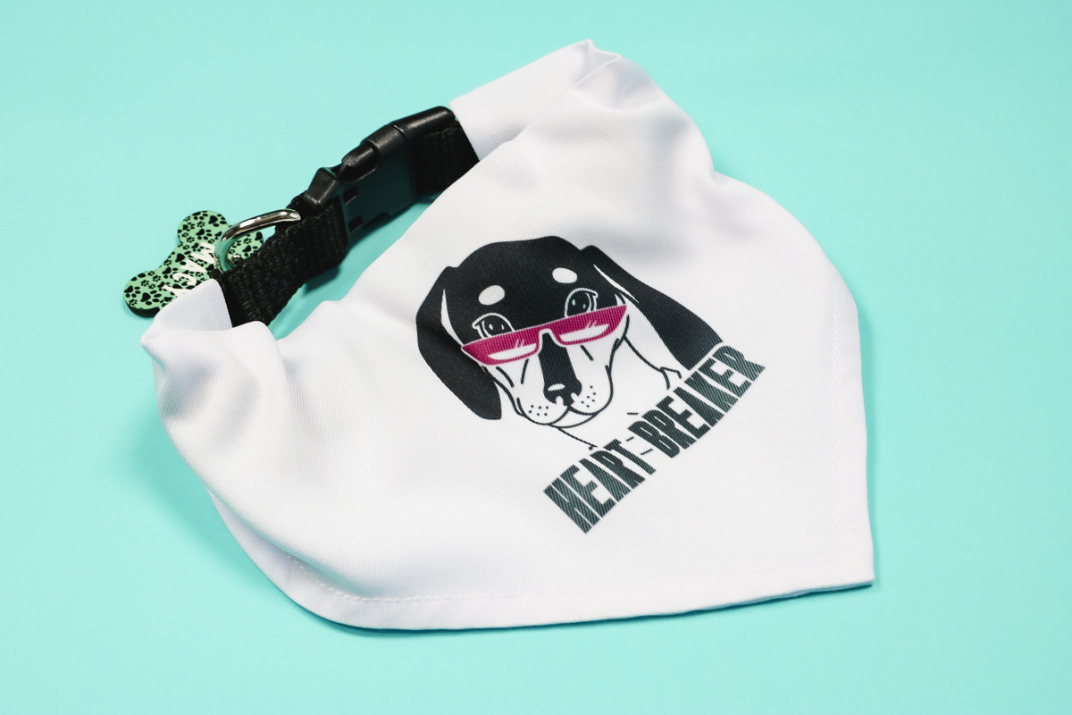 Finished sublimation pet bandana.